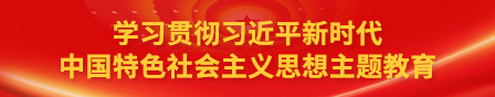 学习贯彻习近平新时代中国特色社会主义思想主题教育
