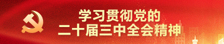 学习贯彻党的二十届三中全会精神